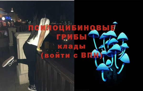 круглые Вязьма